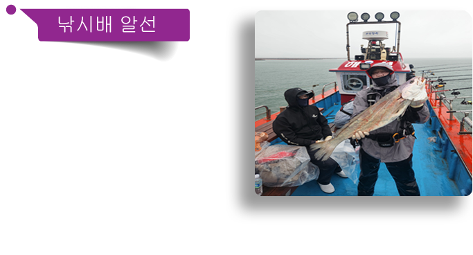 낚시배 알선